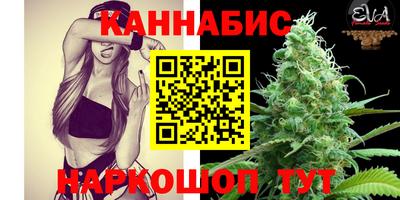 шишки Дубна