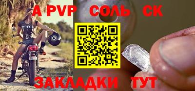 шишки Дубна